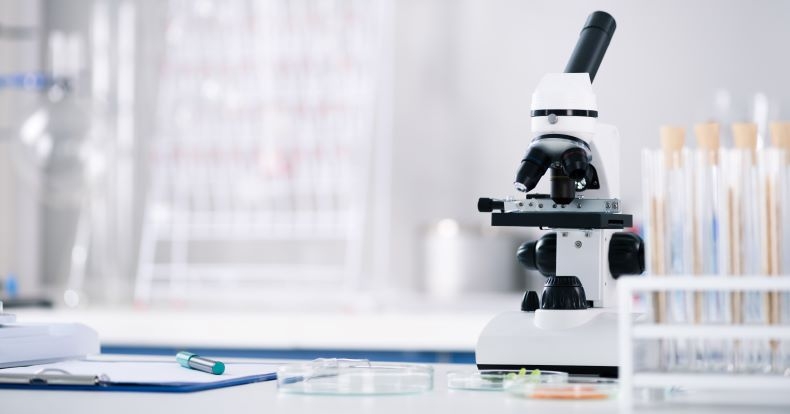 Il Liceo scientifico
