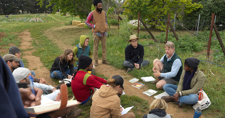 Greenpeace International internship