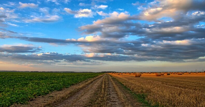 La Banca delle Terre Agricole