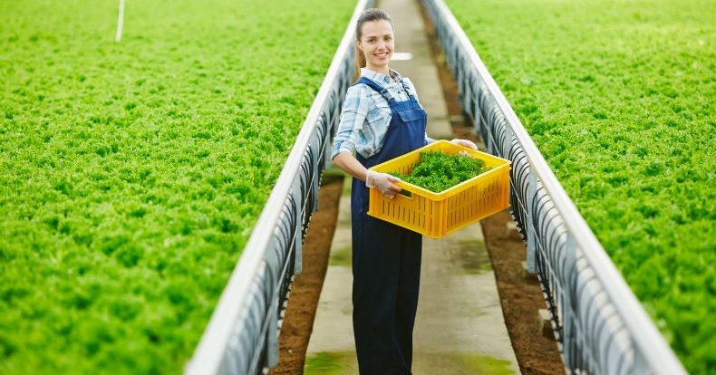 Le prestazioni di lavoro occasionale