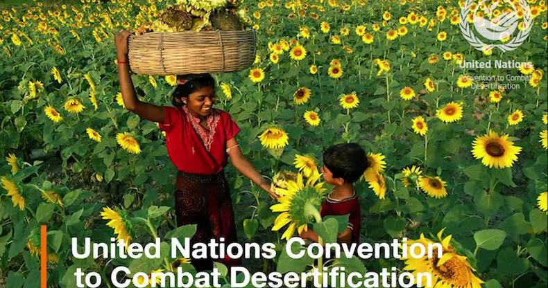 Tirocini alla UNCCD