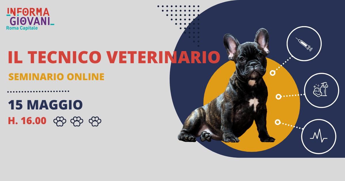 La professione Tecnico Veterinario