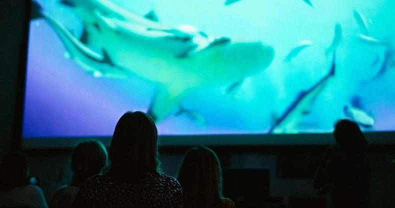 Pianeta Mare Film Lab: bando 2026